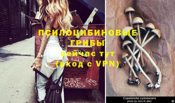 ALPHA-PVP Абинск
