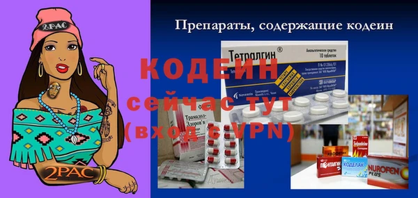 тгк Алзамай